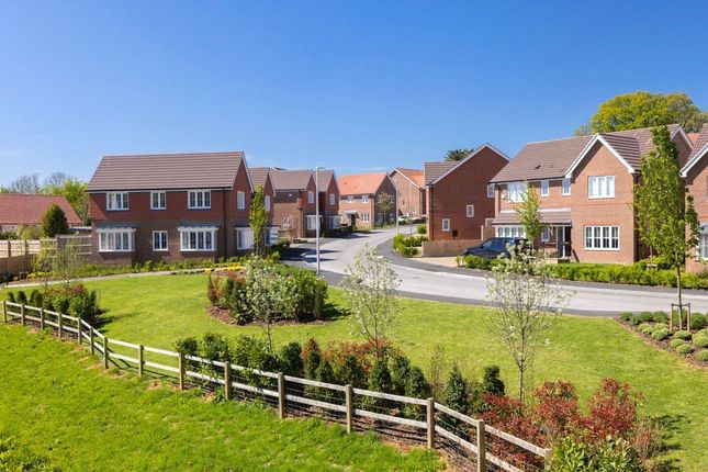 Plot 62 - The Willow,, Knights Grove, Newbury photo 3