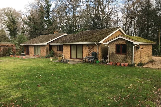 The Avenue, Rowledge, Farnham, Surrey GU10, 4 bedroom bungalow for sale ...