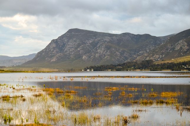 Thumbnail Lodge for sale in Stanford Rural, Cape Town, Western Cape, South Africa