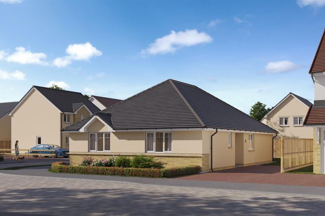 250615_Carluke_Plot 95_Tay_5K (1).Jpeg