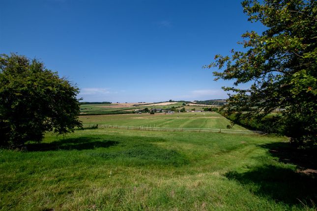 Bentleigh Farm_31.07.24-37.Jpg