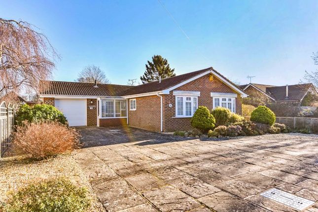 Thumbnail Bungalow for sale in Newport Drive, Chichester