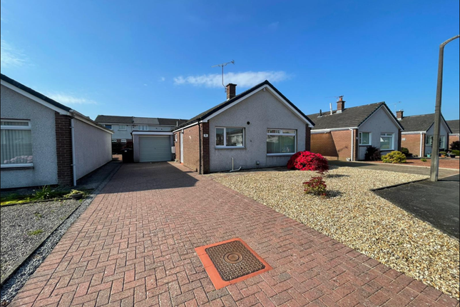 Thumbnail Bungalow to rent in 8 Macdiarmid Road, Dumfries