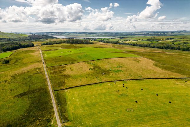 Thumbnail Land for sale in Land At Chapelton Farm, Creetown, Newton Stewart, Wigtownshire