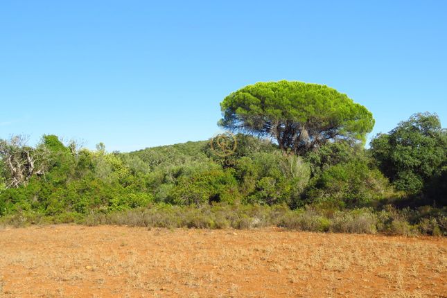 Land for sale in 8005 Santa Bárbara De Nexe, Portugal