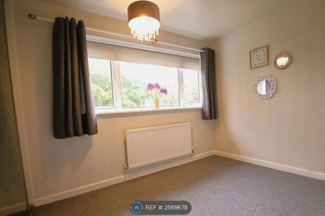 Hafan Deg, Coedpoeth, Wrexham photo 5