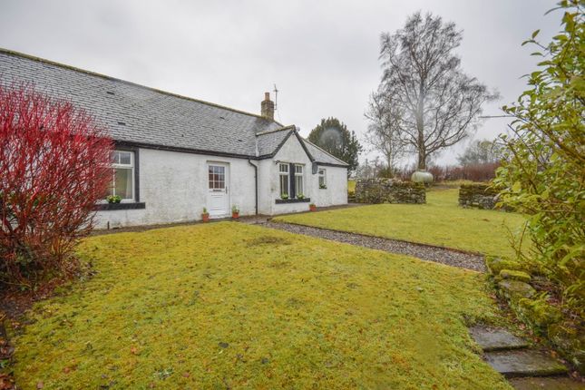 Thumbnail Semi-detached house to rent in Murton, Forfar, Angus