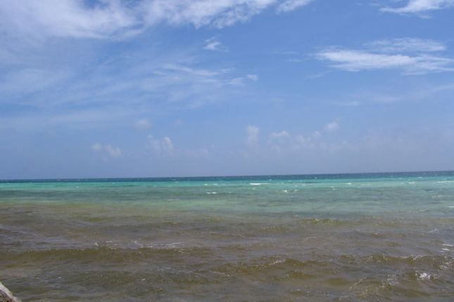 Land for sale in Buccaneer Beach - Tract 16, Grand Bahama, The Bahamas