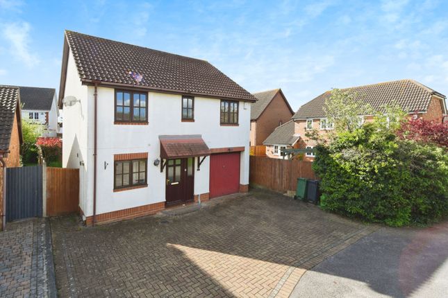 Thumbnail Detached house for sale in Snowberry Court, Braintree, Essex