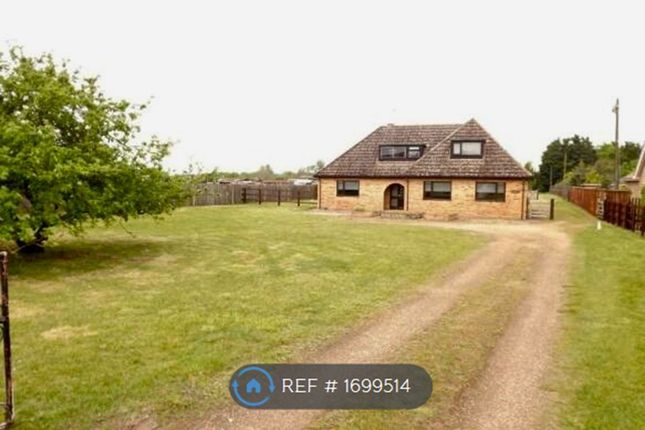 Thumbnail Detached house to rent in Church Road, Brandon, Suffolk.