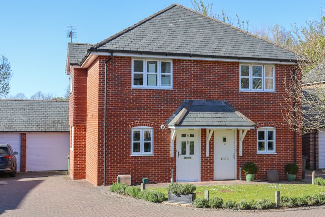Thumbnail Semi-detached house to rent in Brill Close, Alresford