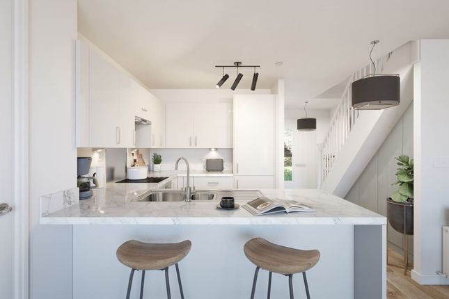 Modern Fitted Kitchen