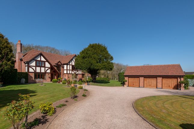 Front Aspect