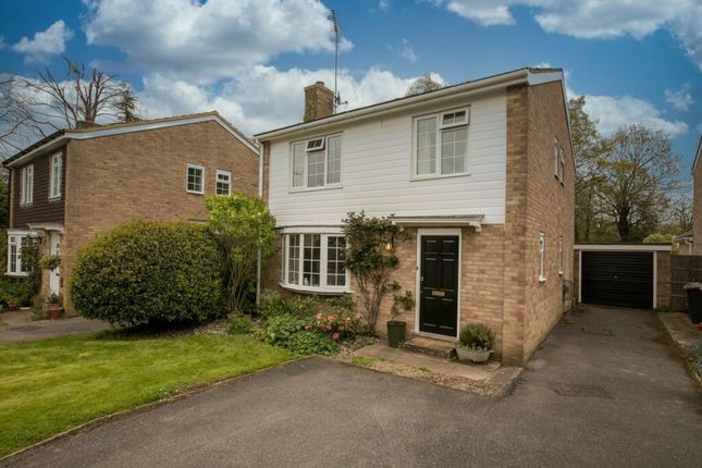 Thumbnail Semi-detached house to rent in Overford Drive, Cranleigh