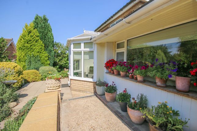 Cantley, Setch Road, King's Lynn photo 4