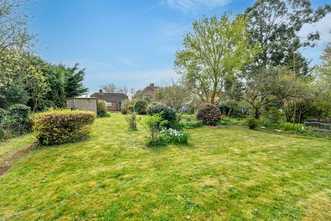 185, Shalmsford Street, Canterbury photo 4