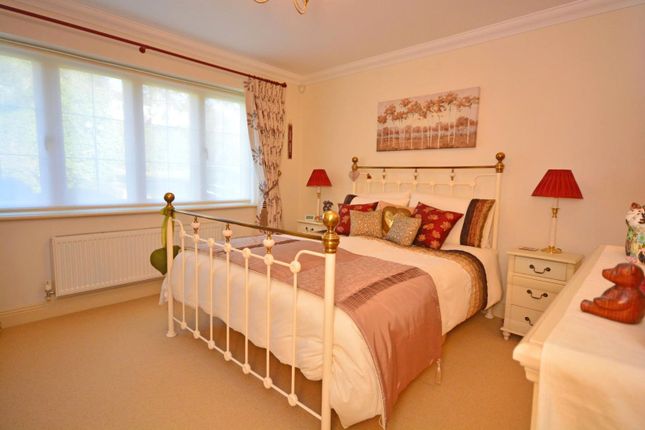 Treetops,, Crampmoor Lane, Romsey photo 4