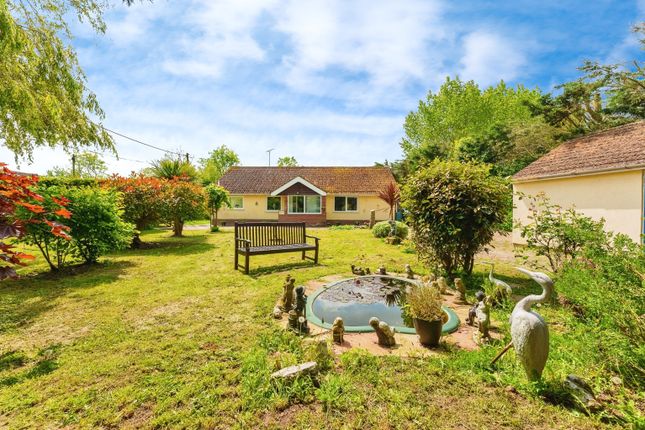 Thumbnail Bungalow for sale in Mersea Road, Abberton, Colchester