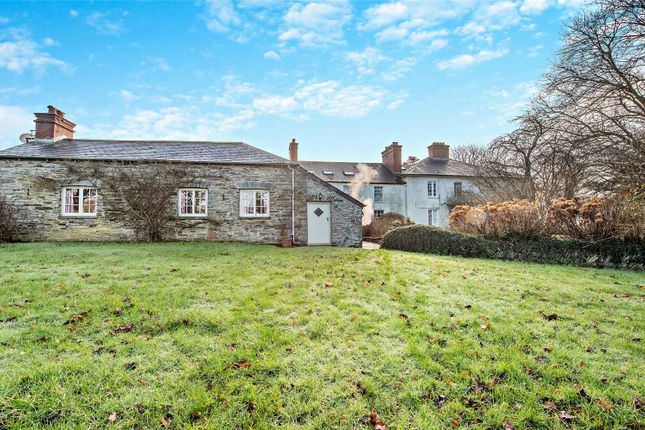 Rear Of Cottages