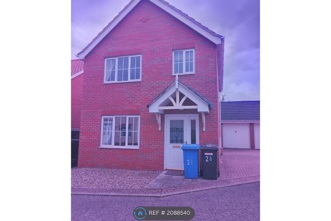 Thumbnail Detached house to rent in Pollywiggle Close, Norwich