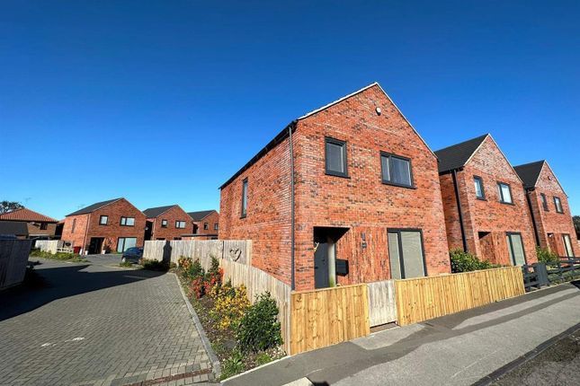 Thumbnail Detached house for sale in Marsh Lane, Barton-Upon-Humber