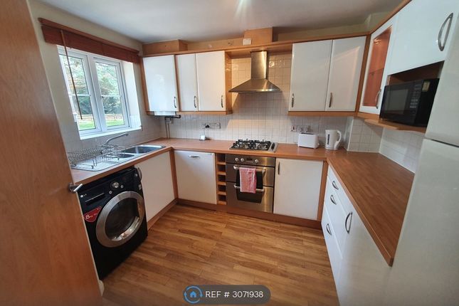 Lister Close, Wellingtonia Park St Leonards, Exeter photo 2