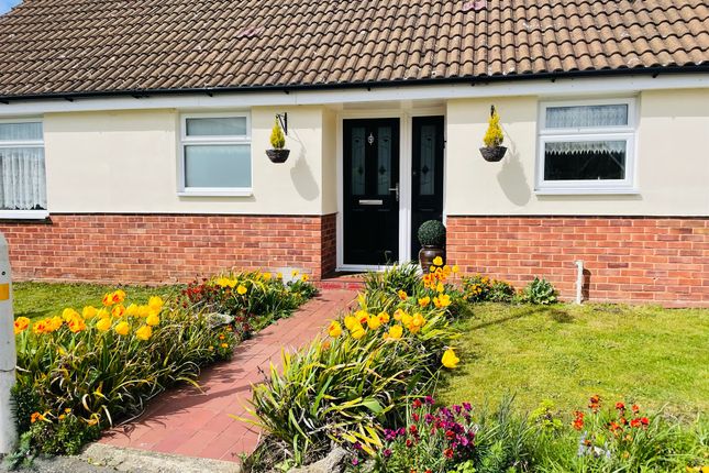 Thumbnail Detached bungalow for sale in Wilkinsons Mead, Springfield, Chelmsford