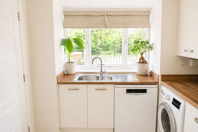 52, Sunflower Road, Bristol photo 3