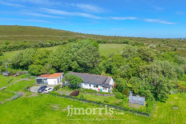 Pantyffynnon, Llanfyrnach photo 2