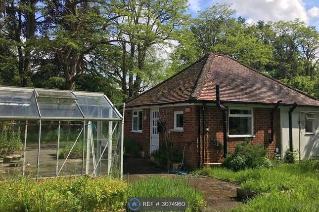 Garden Cottage, Eversley, Hook photo 2