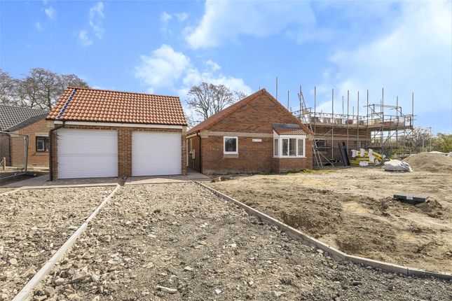 Thumbnail Bungalow for sale in The Hawthorns, Briston, Norfolk