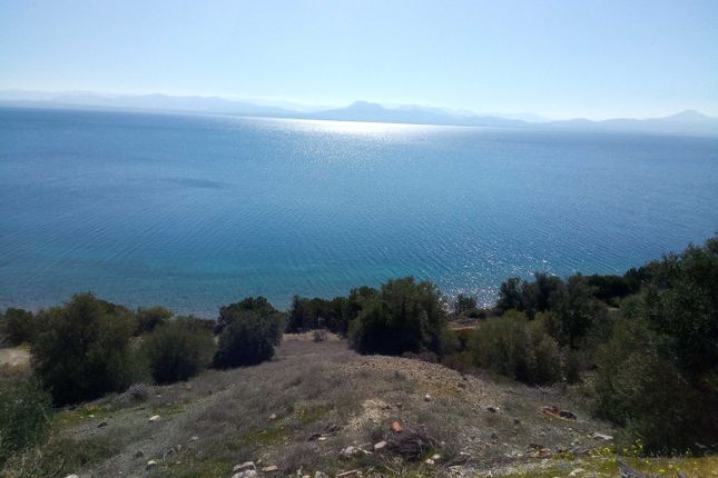 Land for sale in Perachora, Korinthia, Peloponnese