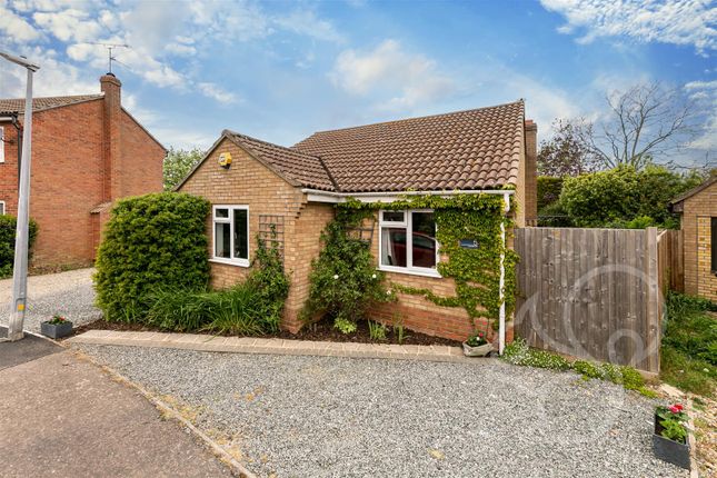 Thumbnail Detached bungalow for sale in Woodstock, West Mersea, Colchester