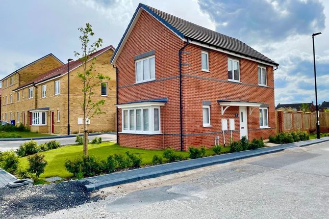 Thumbnail Detached house to rent in Primrose Gardens, Auckley, Doncaster