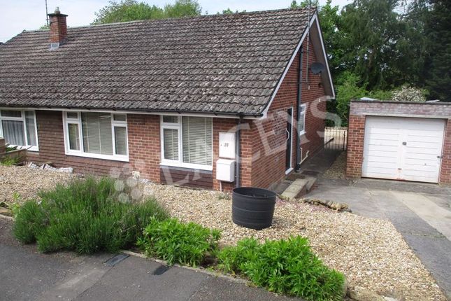 Semi-detached bungalow to rent in Beechwood, Yeovil