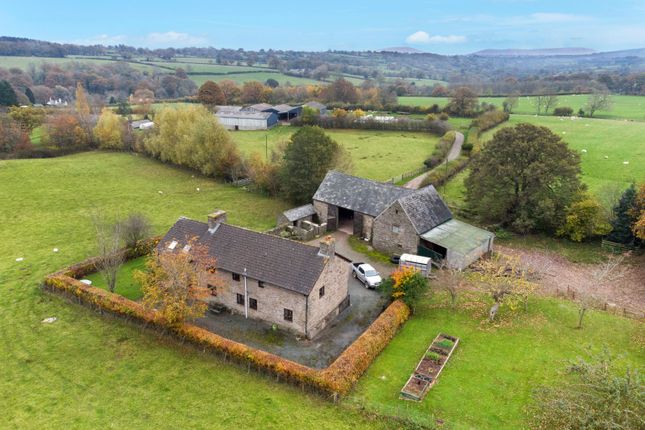 Grove Farm