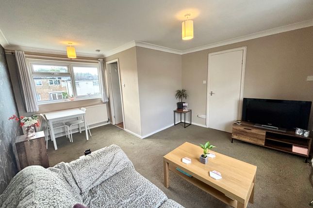 Lounge/Dining Area