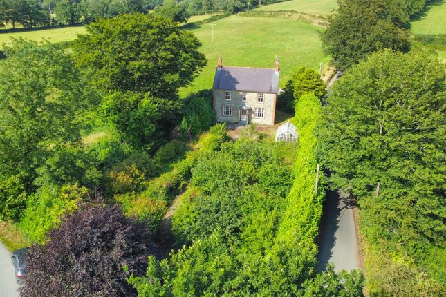 Maelgwyn, Llandysul photo 2