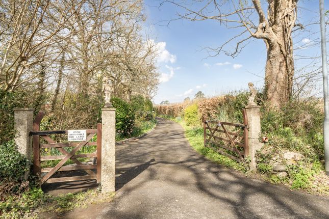 Slade Mead House,, Bovey Tracey, Devon photo 3