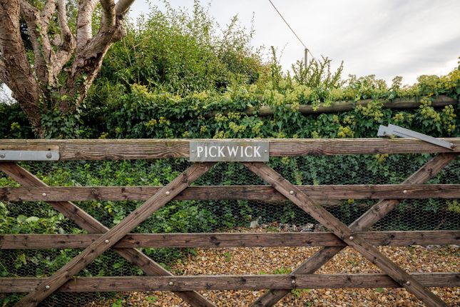 Pickwick, 20, Great Massingham photo 2