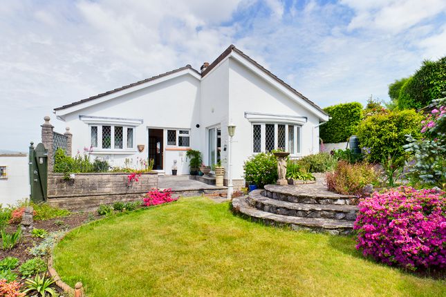 Thumbnail Detached bungalow to rent in Cedar Road, Newton Abbot