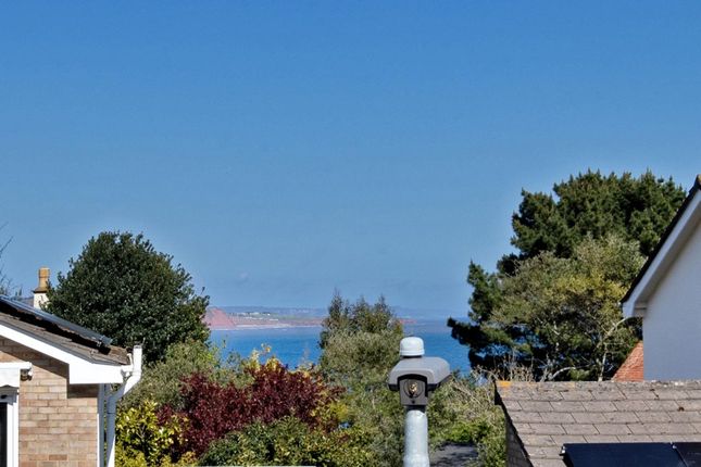 22 Lea Mount Close, Dawlish photo 4