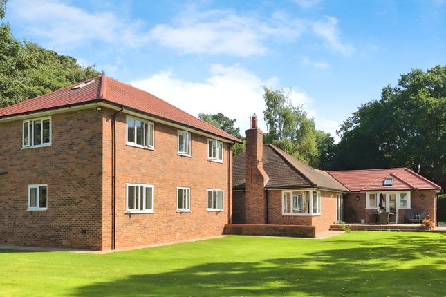 Rear Of House