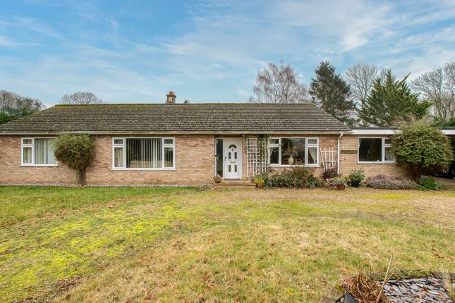 4-bed house on Leylandii Aslacton Road, Norwich, £375,000