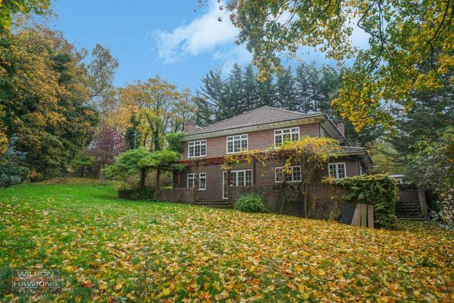 The Squirrels, Mount Park Road - Dqr5Eqmoif8Zzrahp