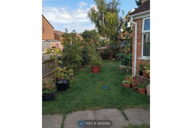 Curling Lane, Badgers Dene, Grays photo 5
