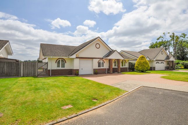Thumbnail Bungalow for sale in Fernway Close, Wimborne