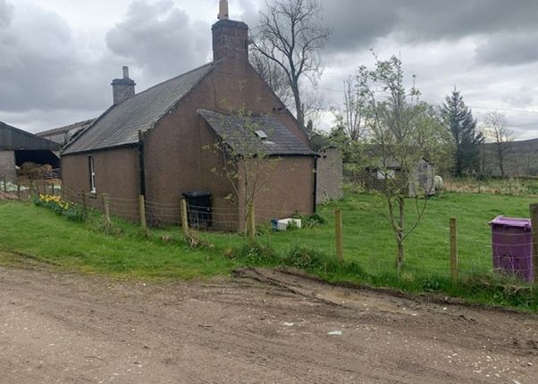 Thumbnail Detached house to rent in Lethnot, Edzell, Brechin