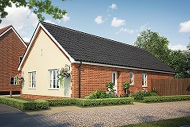 Detached bungalow for sale in Fordham Road, Soham, Ely