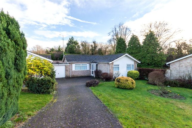 Thumbnail Bungalow for sale in The Park, Redbourn, St. Albans, Hertfordshire